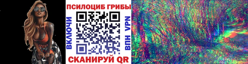 Галлюциногенные грибы GOLDEN TEACHER  Купить где  Красноперекопск 